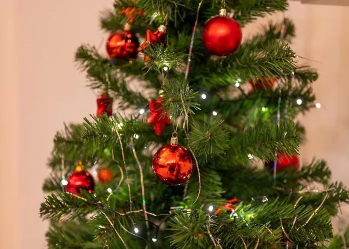 Schusterhof Apartment Bolzano